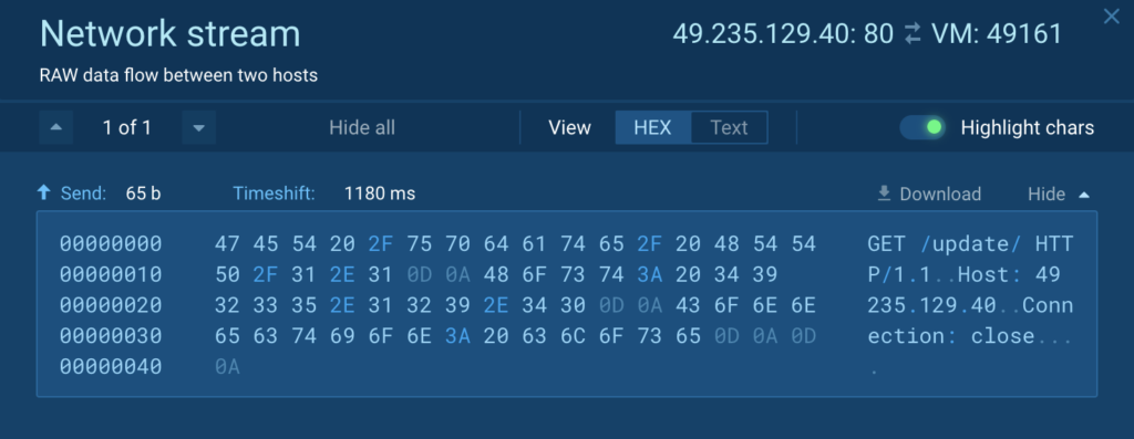 Decrypted PE file 