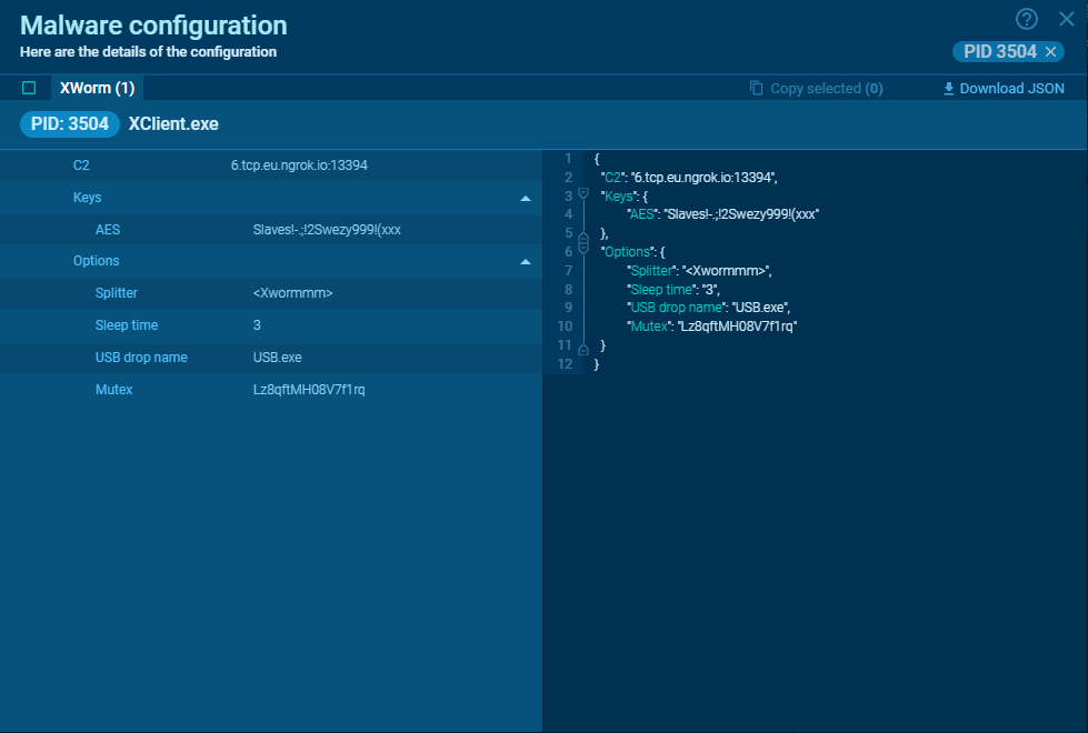 Xworm malware configuration in ANY.RUN