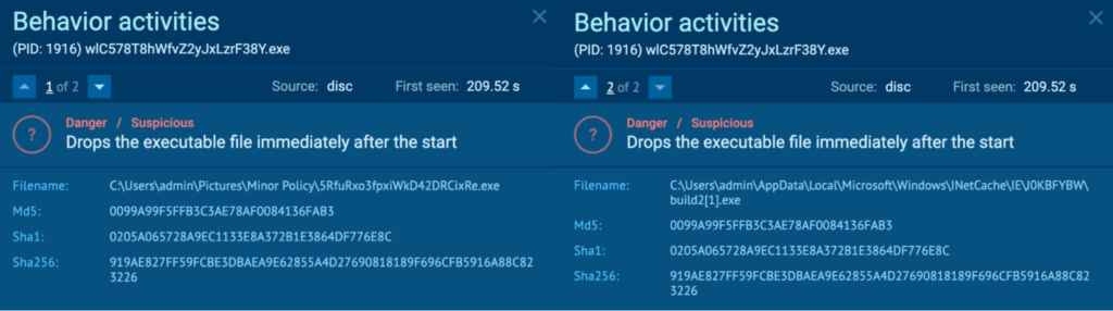 Process 1916 drops executable files immediately after the start