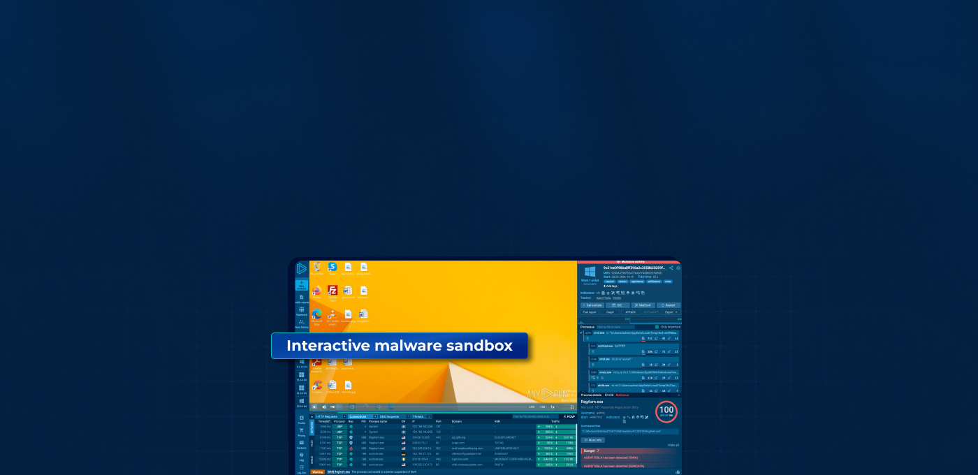 What is an Interactive Malware Sandbox?