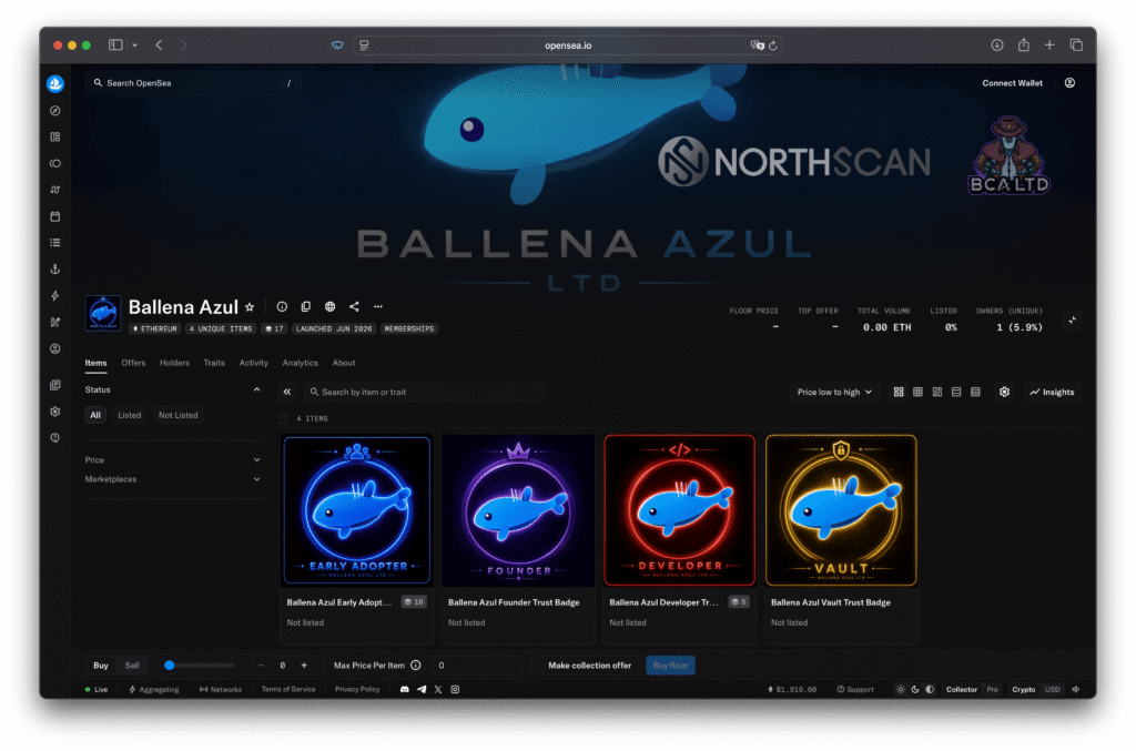 Ballena Azul LTD on OpenSea NFT Marketplace