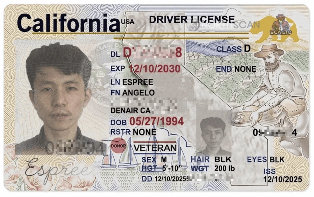 Lazarus Angelo's driving license
