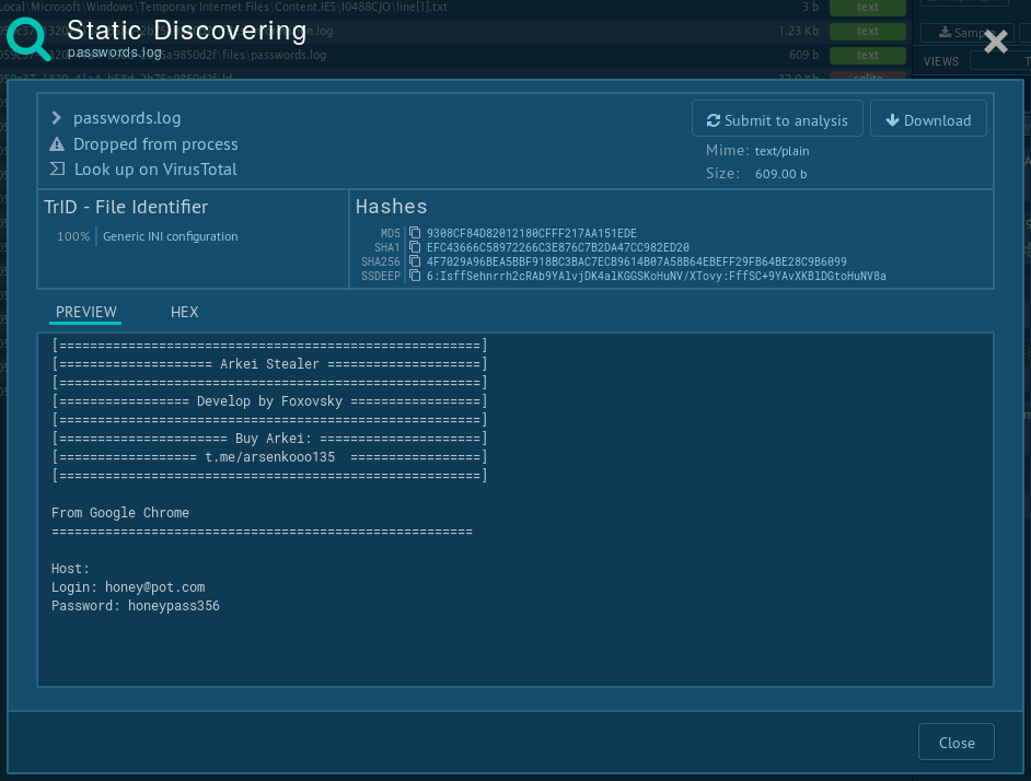 arkei vidar log file