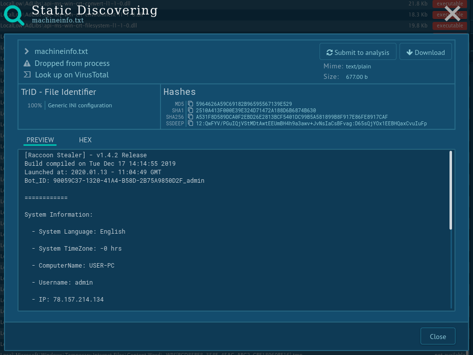 Raccoon Malware Analysis, Overview by