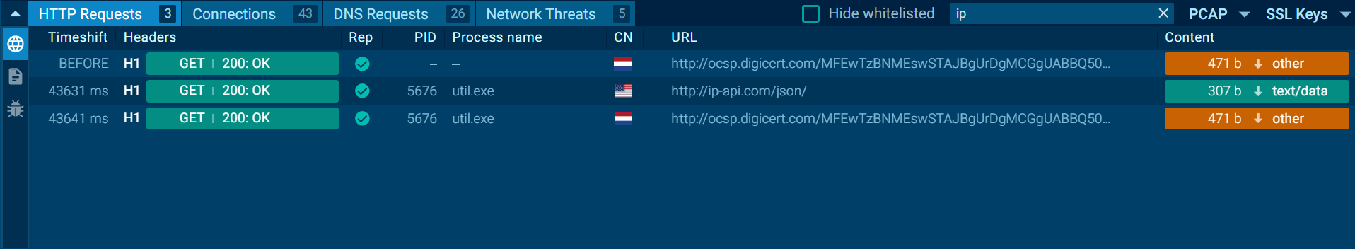 SmartLoader checking public IP and geolocation information