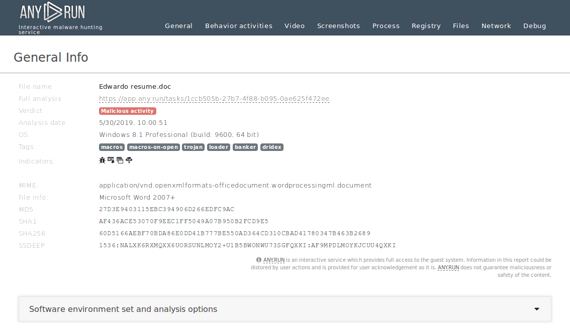 text report of the dridex analysis