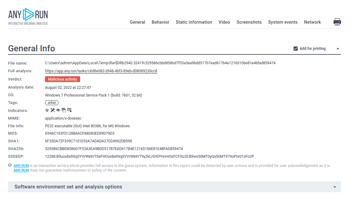 text report of the arkei malware analysis